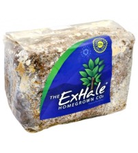 Exhale Co2 Bag 