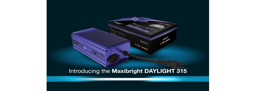 Maxibright Daylight 315